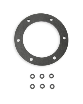 FUEL PUMP HANGER GASKET AND O-RING KIT
