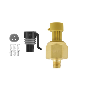 AEM BRASS PSIG SENSORS /  100 PSIg - 1/8 in. NPT Male Thread
