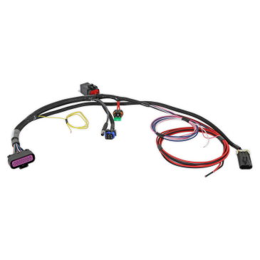 SNIPER 2 EFI MAIN HARNESS