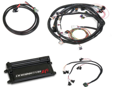 DOMINATOR EFI KIT - FORD MAIN HARNESS WITH EV1 INJECTOR HARNESS
