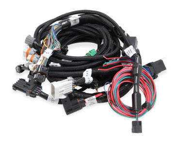 1999-2004 FORD MODULAR 2V & 4V MAIN HARNESS FOR USE WITH HOLLEY SMART COILS