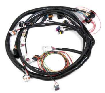5.0L FORD ENGINE MAIN HARNESS - SMALL BLOCK FORD ENGINES