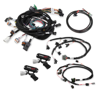 1999-2004 FORD MODULAR 2 VALVE EFI HARNESS KIT