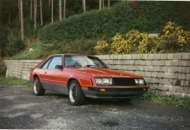 1979 Mustang Parts