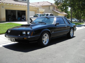 1981 Mustang Parts