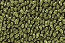 1965-73 FORD MUSTANG RUNNING PONY LOGO MATS - MOSS GREEN