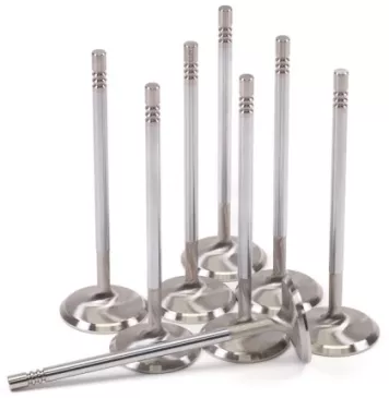 GSC Exhaust Valve Sets -STD