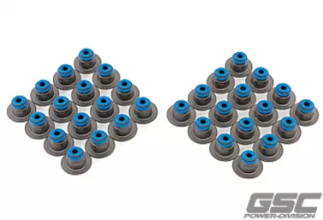 GSC Valve Stem Seal Sets