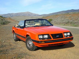 1983 Mustang Parts